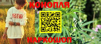 хмурый Малоярославец